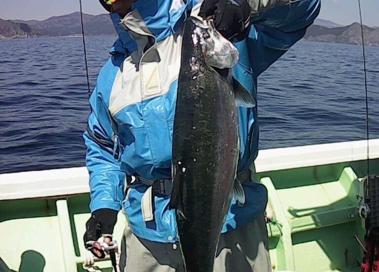 サクラマスジギング 三陸のサクラマスの釣り方紹介 海坊主ブログ